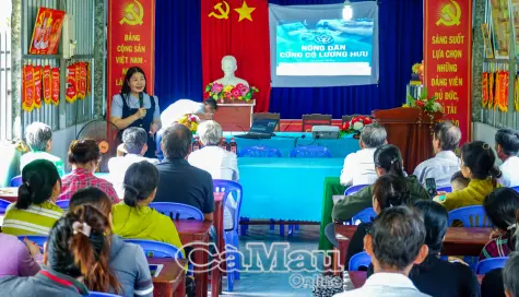 Gieo mầm an sinh