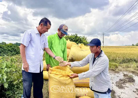 Nhiệm kỳ mới - Niềm tin và kỳ vọng