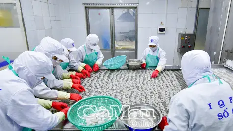 Ưu tiên hỗ trợ sản phẩm phục vụ sản xuất nông nghiệp