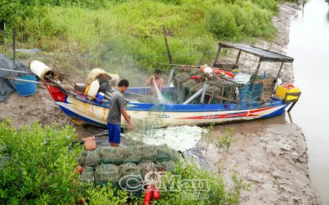 Chủ động ứng phó, không để thiên tai ảnh hưởng đến bầu cử