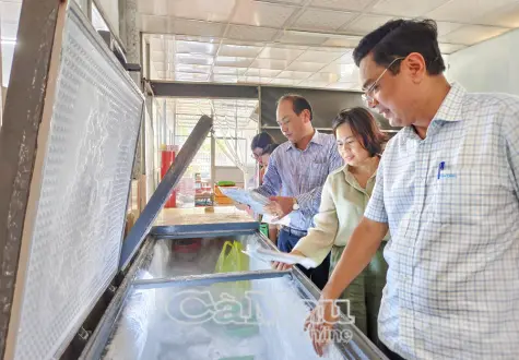 Kinh tế tập thể thúc đẩy phát triển đồng bộ, hiện đại “tam nông”