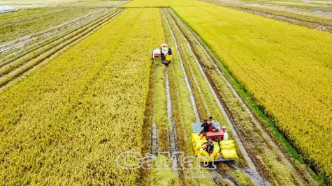“Chìa khoá” phát triển nông nghiệp bền vững
