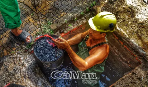 Những người giữ phố phường sạch đẹp giữa mùa mưa bão