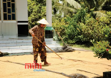 កម្មវិធីគោលដៅអភិវឌ្ឍន៍តំបន់ជនជាតិភាគតិច ដំណាក់កាលទី១ សម្រេចបានប្រសិទ្ធភាព