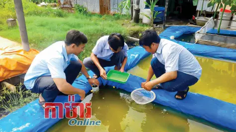ឆ្ពោះទៅអភិវឌ្ឍន៍សេដ្ឋកិច្ចចីរភាព