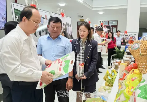 Phát triển sản phẩm OCOP: Bước đột phá cho hợp tác xã