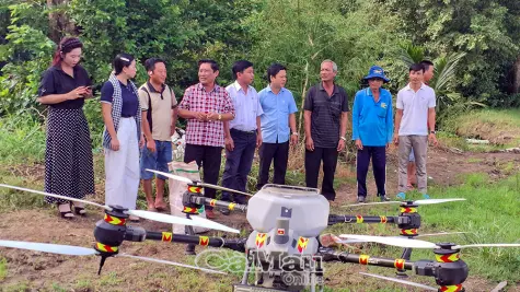 Xã Vĩnh Thanh trình diễn mô hình sản xuất lúa hữu cơ