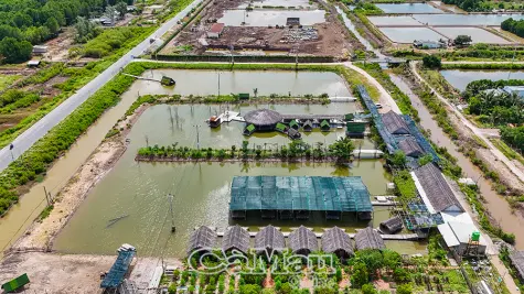 Nâng chất du lịch sinh thái