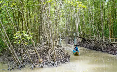 Để xã hội an toàn trước thiên tai