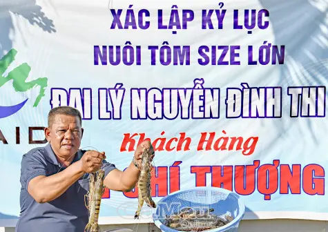 Kỷ lục tôm thẻ 15 con/kg, lãi tiền tỷ