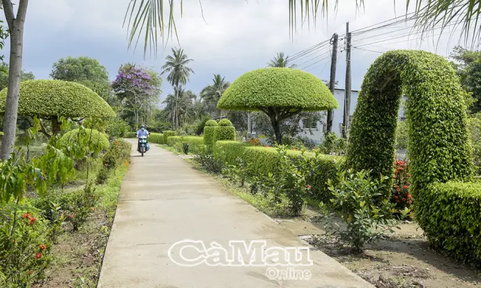 Thành công thầm lặng của trợ giúp pháp lý