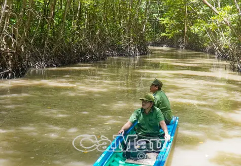 Chung tay vì sự phát triển bền vững