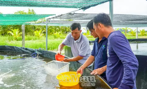 Thi đua tạo đột phá