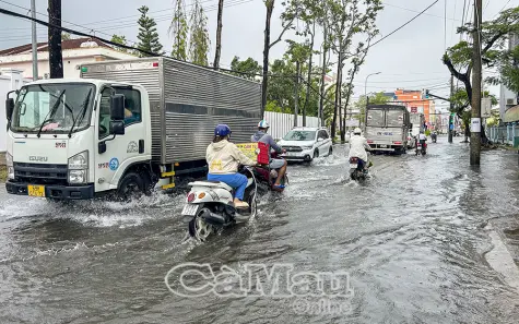 Chủ động ứng phó triều cường, sạt lở