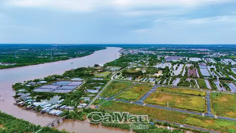 Khai thác tiềm năng Khu Kinh tế Năm Căn