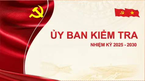 Uỷ ban kiểm tra Tỉnh uỷ Cà Mau nhiệm kỳ 2025-2030