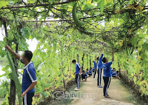 Chung tay đẩy lùi ma tuý