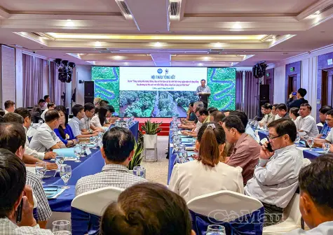 Hướng đến mô hình tôm - rừng thân thiện với môi trường