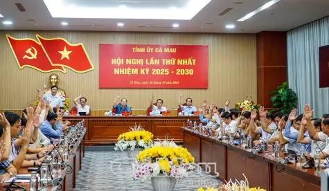 Ban Chấp hành Đảng bộ tỉnh Cà Mau khoá I Hội nghị lần thứ I