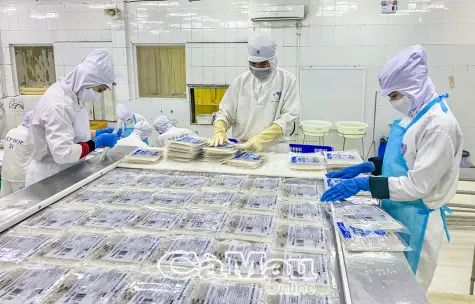 Tín hiệu lạc quan từ bức tranh thu ngân sách