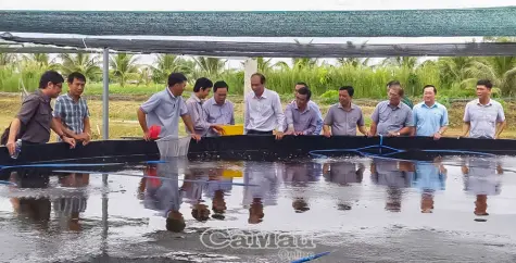 Kinh tế tập thể - Nền tảng phát triển nông nghiệp bền vững