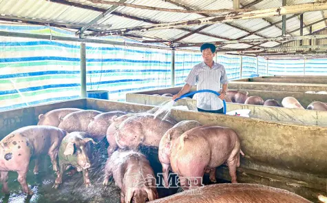 Thầy giáo - nông dân sản xuất giỏi