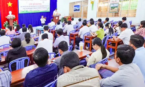 Cà Mau đẩy mạnh giáo dục hướng nghiệp và khởi nghiệp học đường