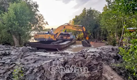 Chủ động ứng phó với triều cường