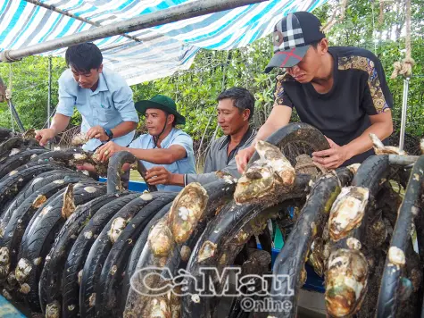 Tận dụng “rác thải” tạo nguồn thu