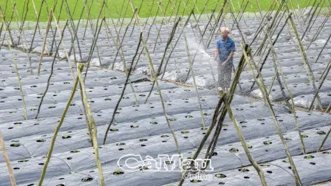 Vĩnh Mỹ: Từ vùng đất khó vươn lên xây dựng cuộc sống ấm no