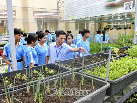 Khơi dậy mạnh mẽ tinh thần sáng tạo, cống hiến