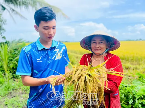 Bước tiến dài cho gạo BL9