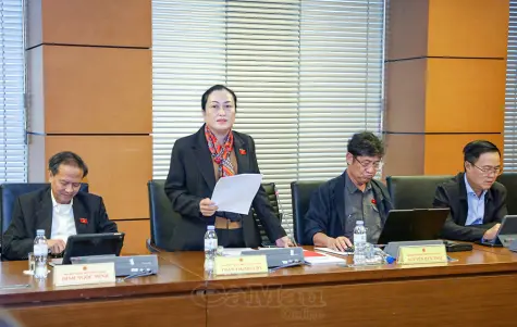 Đoàn ĐBQH tỉnh Cà Mau góp ý xây dựng 3 dự án luật