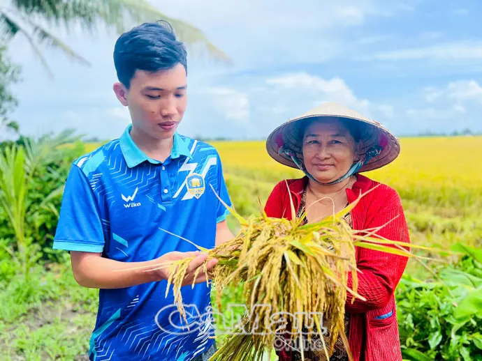 Bước tiến dài cho gạo BL9
