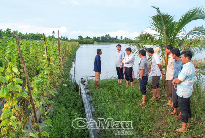 Sớm rà soát mức độ ảnh hưởng sản xuất do triều cường, mưa to gây ra