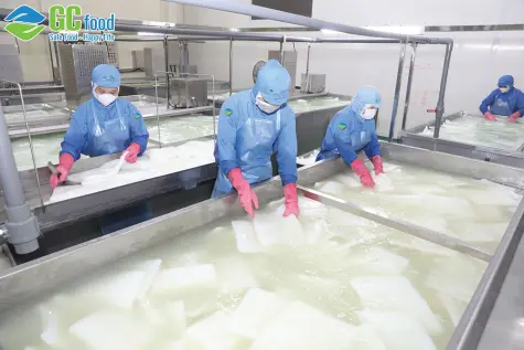 Quy trình làm thạch dừa cho ra thạch dừa cốc GC Food đạt chuẩn