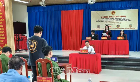 Tổ chức nhiều phiên toà giả định chống khai thác IUU