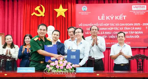 Đẩy mạnh chuyển đổi số gắn với liên kết chuỗi giá trị trong hợp tác xã