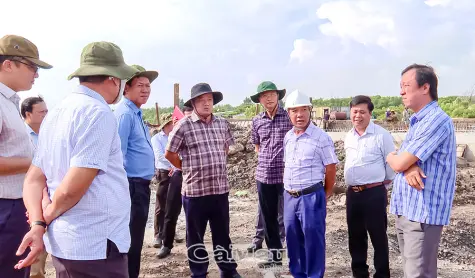 Phó Bí thư Thường trực Tỉnh uỷ khảo sát Dự án Khu neo đậu tránh trú bão và bến cá Cái Cùng