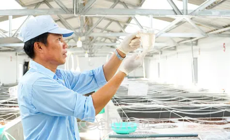 Bừng sáng Hiệp Thành