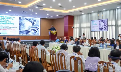 Giải pháp quốc tế cho phát triển bền vững ngành cua biển Cà Mau