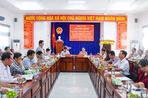 Kiểm tra việc thực hiện các Nghị quyết quan trọng của Bộ Chính trị