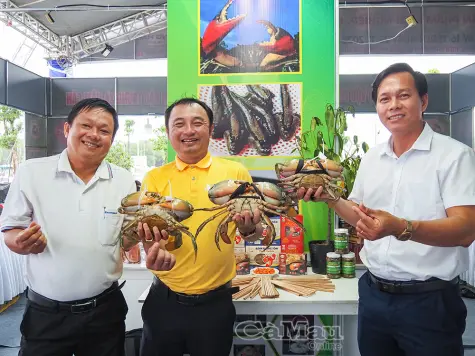 Mãn nhãn với "siêu cua - siêu tôm" tại Ngày hội Cua