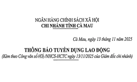 THÔNG BÁO TUYỂN DỤNG LAO ĐỘNG