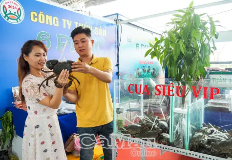Đặc sản “triệu đô” hội tụ tại Ngày hội Cua Cà Mau 2025