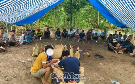 Cà Mau triệt xoá tụ điểm đá gà ăn tiền, tạm giữ 33 đối tượng