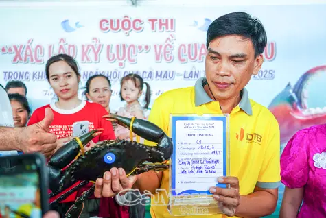 Cuộc thi “Xác lập kỷ lục” về cua Cà Mau đã tìm được quán quân