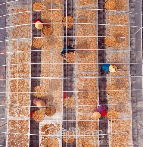 Phát triển làng nghề gắn với đặc sản