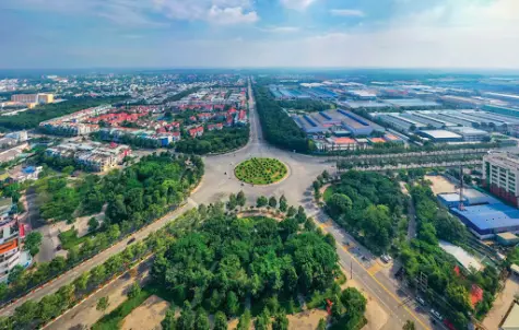 Cây Ba Miền: Khẳng định vị thế thương hiệu uy tín trong lĩnh vực cung cấp cây xanh công trình