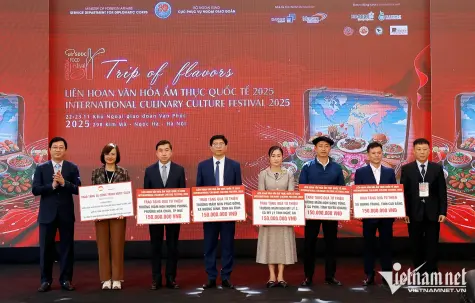 Trung Quốc hỗ trợ Việt Nam 500.000 USD khắc phục hậu quả thiên tai